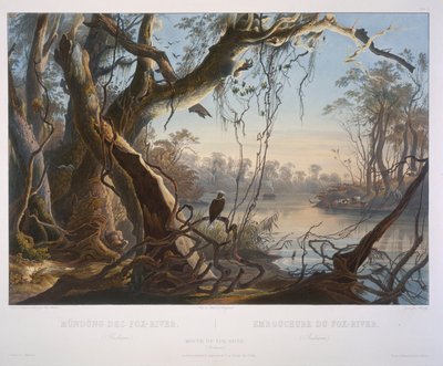 Mouth of Fox River by Karl Bodmer